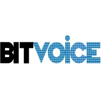 Bitvoice Solutions Private Limited logo - Similar company to Qtel.Gr
