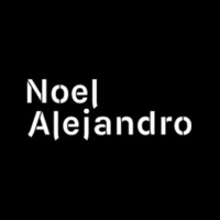 Noel Alejandro Films logo - Similar company to Auroras & Blossoms
