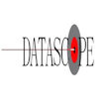Datascope Litigation Services