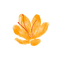 Ruwais Persian Saffron logo - Similar company to Baseltech Intaj