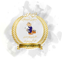 niroogostaresh Co. logo - Similar company to 0000