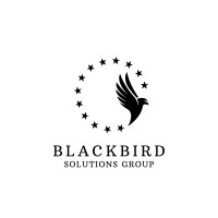 Blackbird Solutions Group logo - Similar company to Blackbird Solutions, Inc