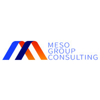 Meso Group Consulting logo - Similar company to Maso Group