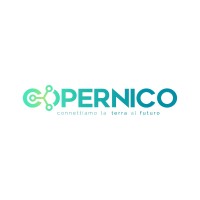 Copernico S.R.L. logo - Similar company to Valuematic