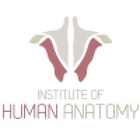 Institute of Human Anatomy logo - Similar company to Anatomist