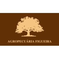 Agropecuária Figueira logo - Similar company to Hash³