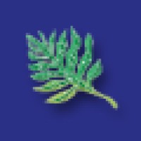 Hawaii Homes International