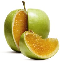 Freakonomics logo - Similar company to Hidden-Brain