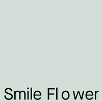 SmileFlower logo - Similar company to Block Opera