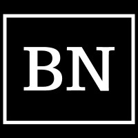 BlackNile Technologies logo - Similar company to Pr|Analytics