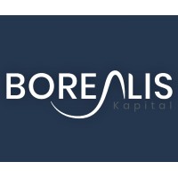 Borealis Kapital logo - Similar company to Delovate