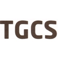 Team Global Consultancy Services logo - Similar company to Tech Global Consulting & Services