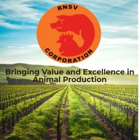 RNSV Corporation logo - Similar company to Superiorvet Inc.