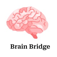 Brain Bridge logo - Similar company to Brainbridge Workforce Solutions