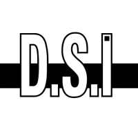 D.S. INGENIERIE logo - Similar company to Karookie