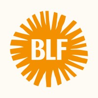 Big Little Feelings logo - Similar company to Good Inside