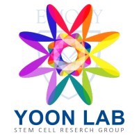 stemyoon logo - Similar company to Nuçi’S Space