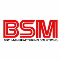 BSM India logo - Similar company to Arora Engineering Works