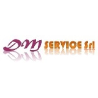 DM SERVICE Srl logo - Similar company to Studio Megabit Service Bergamo S.R.L.