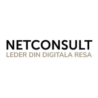 NetConsult AB logo - Similar company to D'Congress
