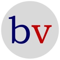 Broadventure logo - Similar company to Synapses Partners