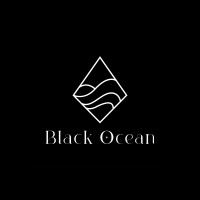 Black Ocean Consultants logo - Similar company to Weapply