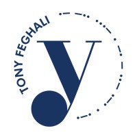 TonyFeghali.com logo - Similar company to Team Tony