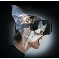 BATVISION logo - Similar company to Somebodyelse