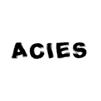 ACIES-AGENCY logo - Similar company to Studio Diser
