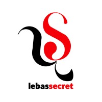 لباس سکرت logo - Similar company to Dolichi