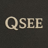 QSee.ai logo - Similar company to Balvoris