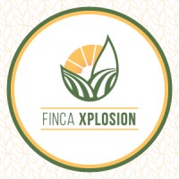 FINCA XPLOSION S.A. logo - Similar company to Expresito Carga