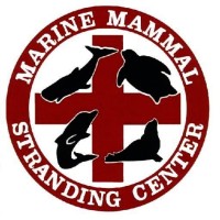 Marine Mammal Stranding Center logo - Similar company to North Island Marine Mammal Stewardship Association