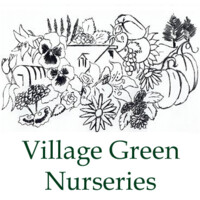 Village Green Nurseries