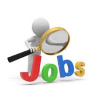 Job Hubs USA UK logo - Similar company to Shin Starr Presents Corp.