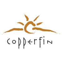 Copperfin Credit Union logo - Similar company to Patch Cap Inc