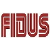 Fidus IT Services Pvt. Ltd. logo - Similar company to Fidus It