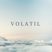VOLATIL logo - Similar company to Satem