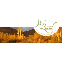 Lucid Learning Systems, Llc