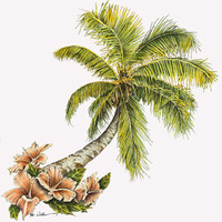 Caribbean Trademark Services logo - Similar company to Praetas Technologies, Llc