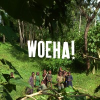 Woeha! logo - Similar company to Social-Buddy