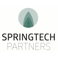 SpringtechPartners logo - Similar company to Hamex Group