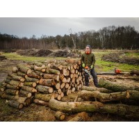 Good Wood Work logo - Similar company to Sieboldius