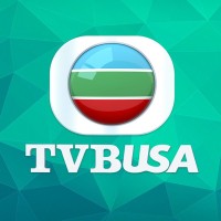 TVB (USA) Inc. logo - Similar company to Tvb