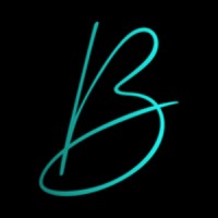 BWS logo - Similar company to Digitrek.Ae