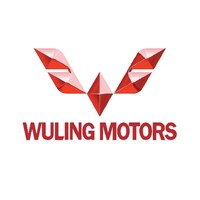 Wuling Motors Vietnam logo - Similar company to Wuling Thailand