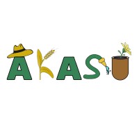 AKASU logo - Similar company to Eschertec Ag