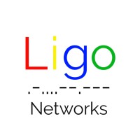Ligo Networks, Inc. logo - Similar company to Mdsi Search
