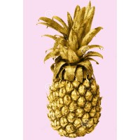 Ananas Cafe logo - Similar company to Tomogrow