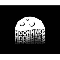 Moonwake Agency logo - Similar company to Moonwake.Nl